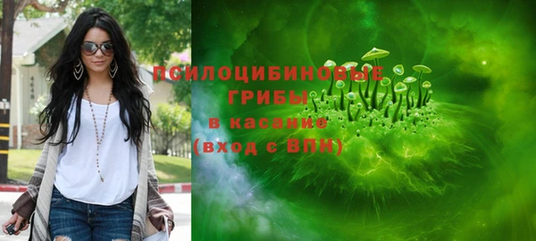 гидра Алексин