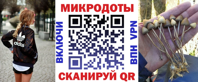 Псилоцибиновые грибы Magic Shrooms  Петрозаводск 