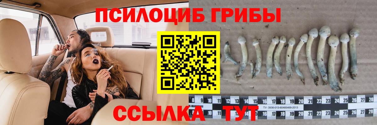 Псилоцибиновые грибы прущие грибы Петрозаводск