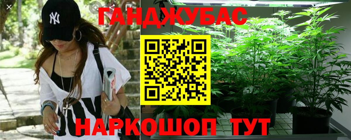 Каннабис семена Петрозаводск